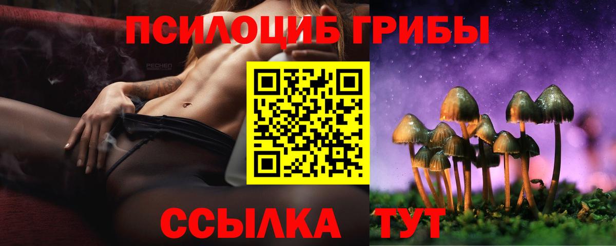 Галлюциногенные грибы Cubensis  Вход с VPN  Коммунар 